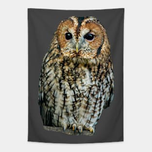 Brown Owl or Tawny Owl Tapestry