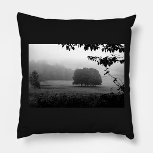 The Grove in fog Pillow