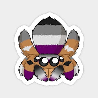 Asexual Peacock Spider Magnet