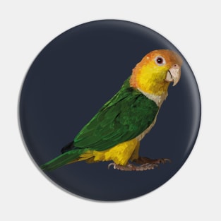 yellow-headed caique Pin