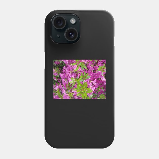 purple flowers Phone Case by djil13