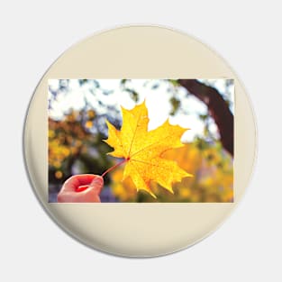 Hand holding golden yellow maple leaf Pin