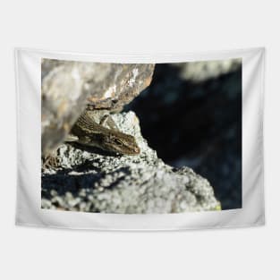 Grand Skink peek-a-boo Tapestry