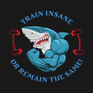 Train Insane or Remain The Same Workout Aesthetic T-Shirt