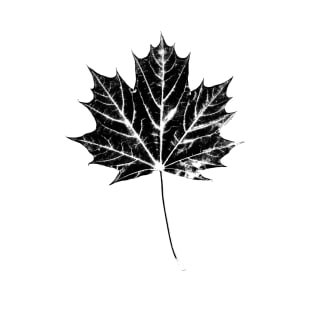 Maple Leaf Print T-Shirt