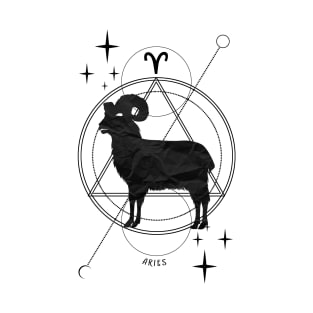 Zodiac, Aries, Astrology, Star sign, Stars T-Shirt