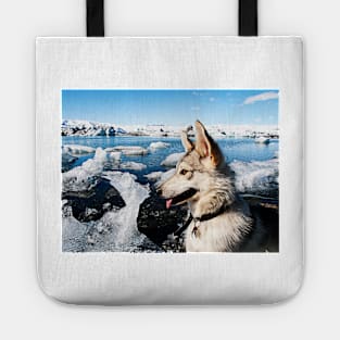 Blizzard Tote