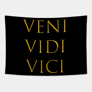 VENI VIDI VICI Tapestry