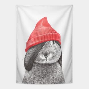 Rabbit in a red hat Tapestry