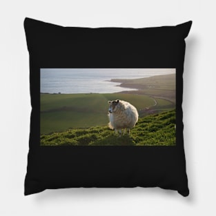 Here's Looking At Ewe, Kid! Pillow