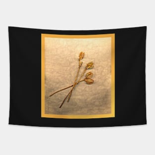 Lily Seed Pods Tapestry