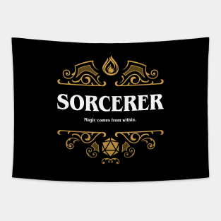 Sorcerer Class Tabletop RPG Gaming Tapestry