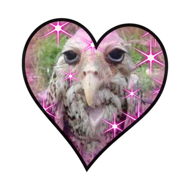 Owl meme by Sciraffe