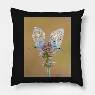 Two Common Blue Butterflies on Apple Mint Flower Pillow