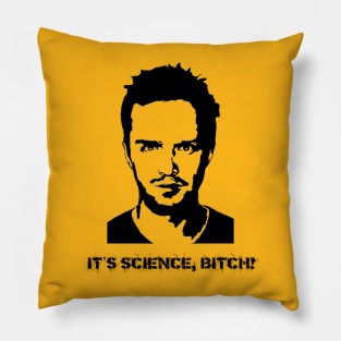 IT'S SCIENCE, BITCH! Pillow