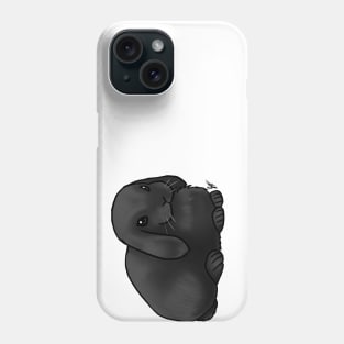 Small Mammal - Rabbit - Holland Lop Black Phone Case