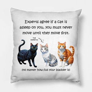 Experts agree if a cat is asleep on you, you must never move until they move first - funny watercolour cat design Pillow