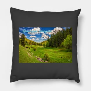 Spearfish Canyon Scenic Byway Pillow