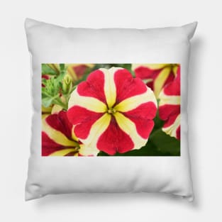 Petunia Amore Queen of Hearts Amore series Pillow