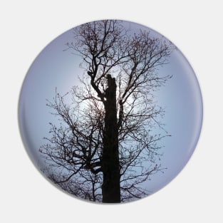 Winter Tree Pin