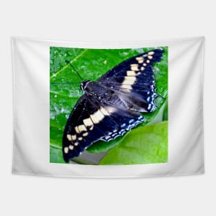 Checkered Lime Swallowtail Butterfly Tapestry