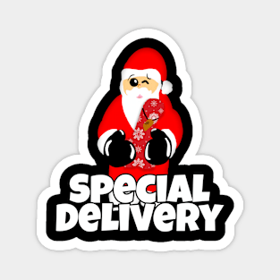 Special Delivery Naughty Santa Dildo Sex Toy Magnet