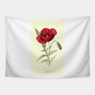 Red flowers poppy Tapestry