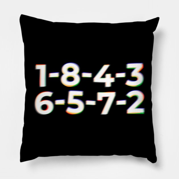 1-8-4-3-6-5-7-2 Firing Order Funny Pillow by SUMAMARU