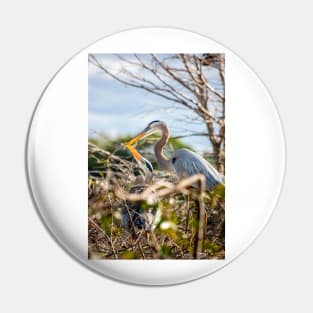 Great Blue Herons Nesting Pin