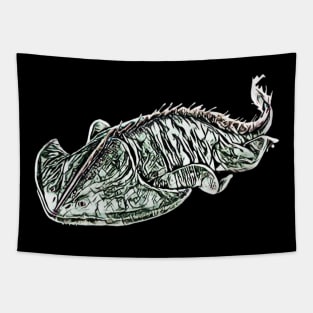 Amphibian Tapestry