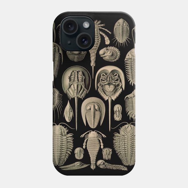 Ernst Haeckel Aspidonia Phone Case by dudepal