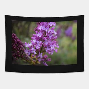 Purple Lilac Tapestry