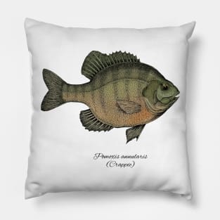 Crappie Pillow