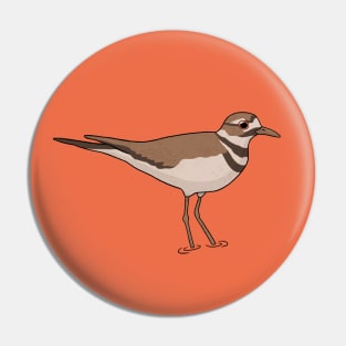 Killdeer bird Pin