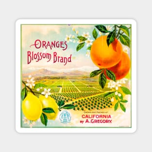 Blossom Brand crate label Magnet