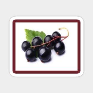 Blackcurrant Magnet