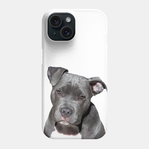 I love Pitbull! Phone Case by ggustavoo