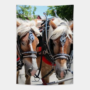 Working Horses at Solvang California Tapestry