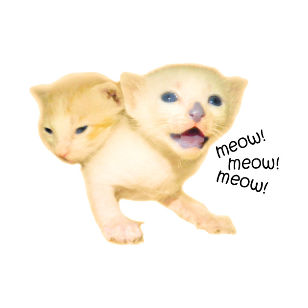 Two Headed Kitty Kitty Cats Long Sleeve T Shirt Teepublic