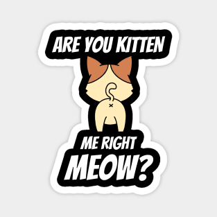 Are You Kitten Me Right Meow Magnet