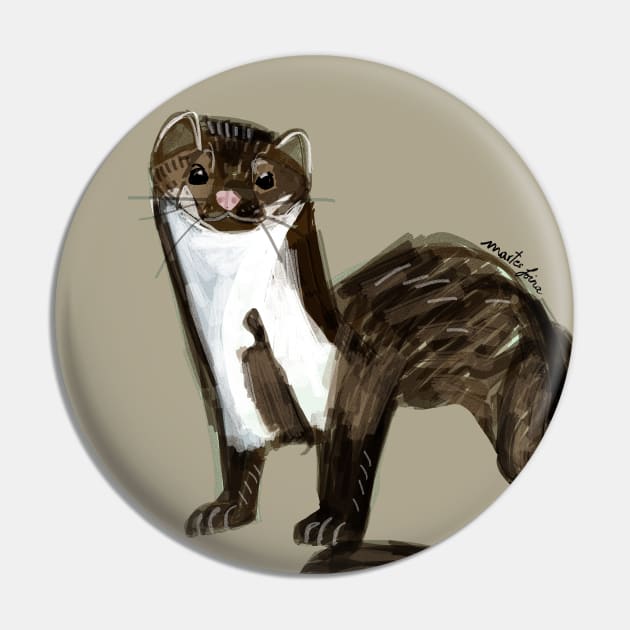 Sweet Stone Marten ( Martes foina ) Pin by belettelepink