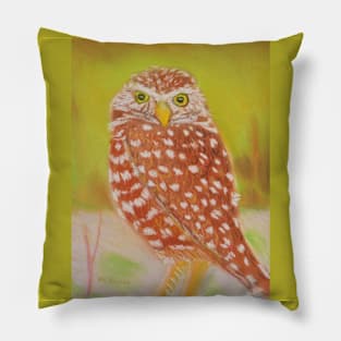 Bright Eyed Burrowing Owl Pillow