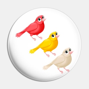 Funny group of canaries with cute eyes Pin