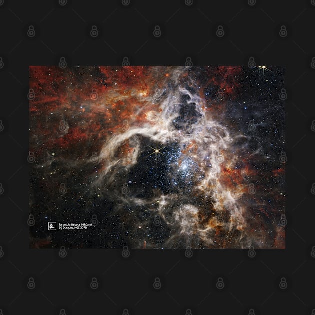 JWST Tarantula Nebula by Synthwave1950