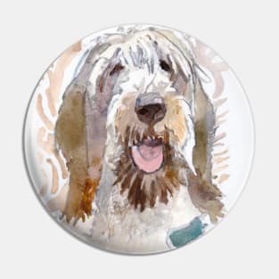 Spinone Italiano Watercolor - Dog Lovers Pin