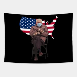 Bernie Sanders Mittens Funny Meme Anuguration Tapestry