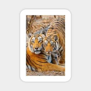 Mother tigress and Cub Magnet