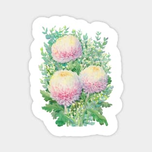 Chrysanthemums bouquet watercolour Magnet