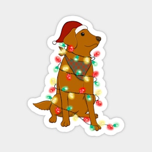 Dog Christmas Lights Graphic Magnet