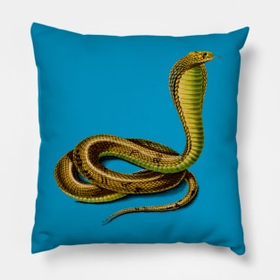 Vintage Egyptian cobra snake reptile Pillow